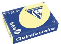 Clairefontaine gekleurd papier Trophée Pastel A4 210 g/m² geel 