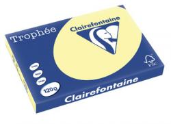 Clairefontaine gekleurd papier Trophée Pastel A3 120g/m² geel  