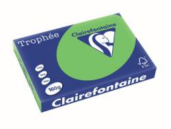 Clairefontaine gekleurd papier Trophée Intens A3 160 g/m² grasgroen