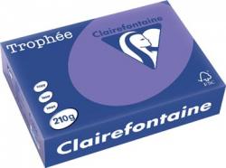 Clairefontaine gekleurd papier Trophée Intens A4 210 g/m² violet 