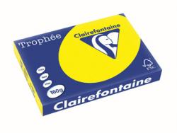 Clairefontaine gekleurd papier Trophée Intens A3 160 g/m² zonnegeel 