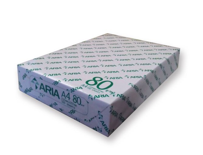 escort Hectare Tussen Aria Copy wit papier A4 80 g/m² - Doos van 5 pakken (2.500 vel) | Eska  office