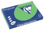 Clairefontaine gekleurd papier Trophée Intens A3 120 g/m² grasgroen